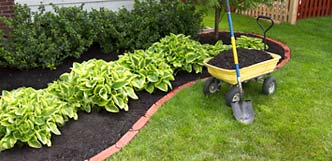 Landscape Maintenance