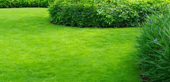 Lawn Care