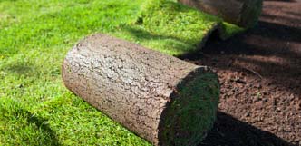 Turf Installation