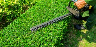Mowing & Edging